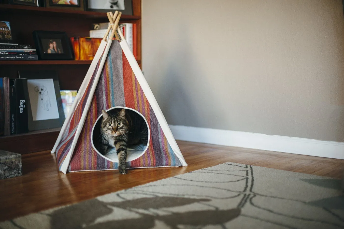 Horizon Pet Teepee Tent