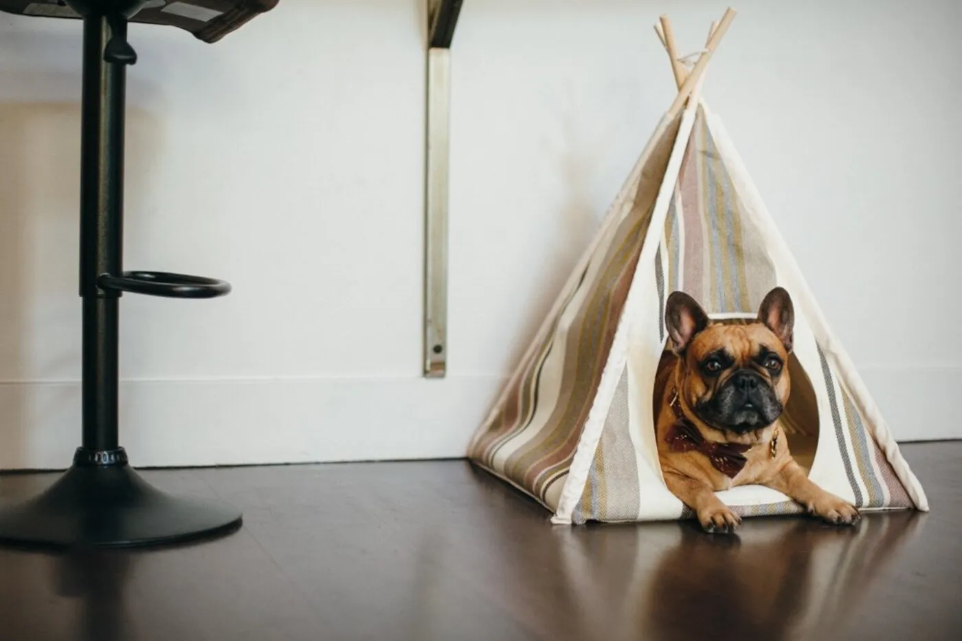 Horizon Pet Teepee Tent