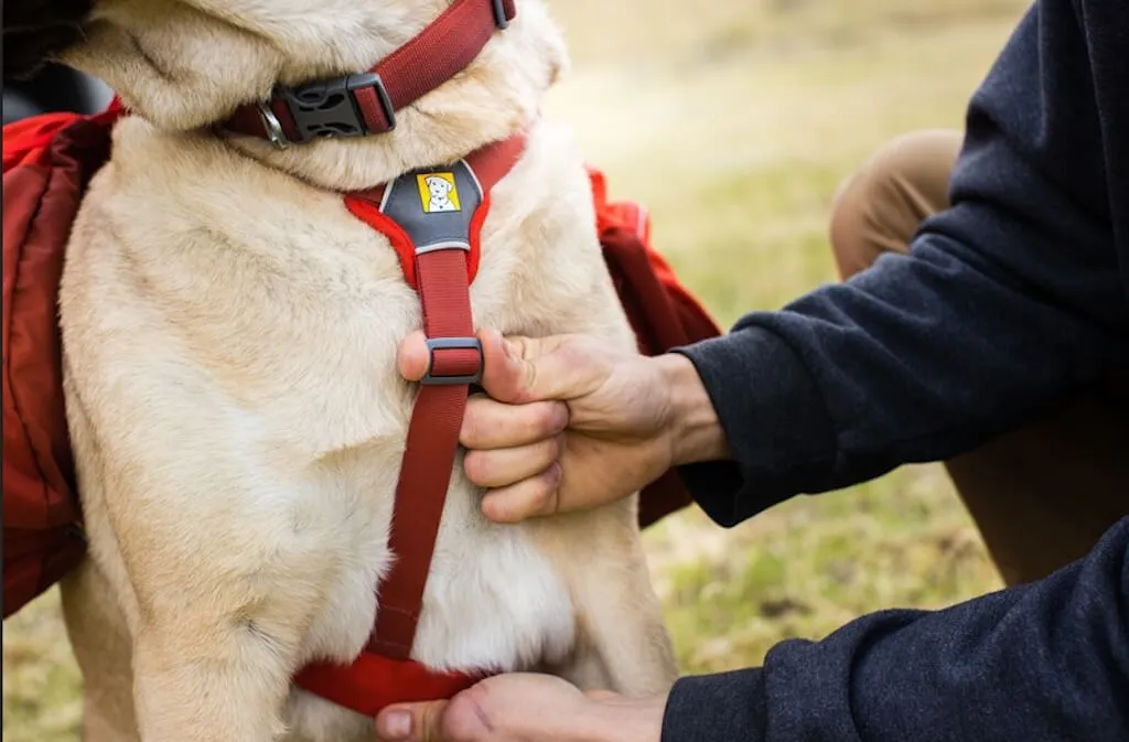 SALE! Palisades Pack - Premium Dog Backpack for Multi-Day & Backcountry Trips